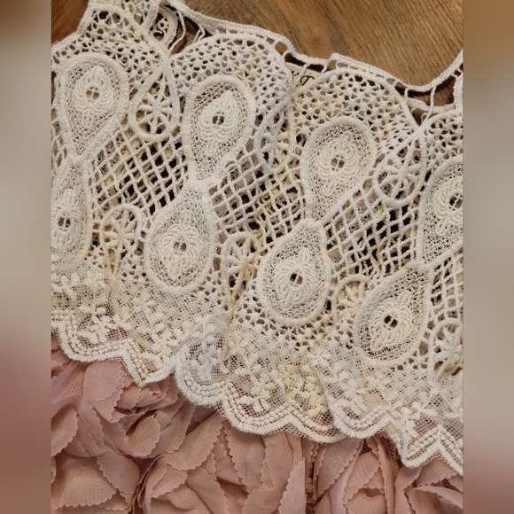 Blush & cream crocheted/rosette dress - Picture 4 of 5